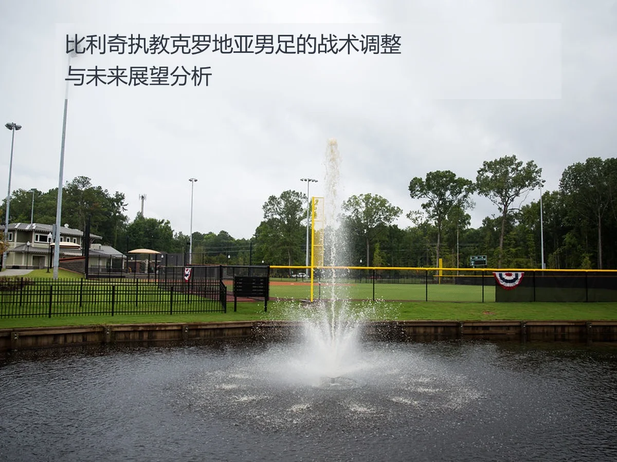 比利奇执教克罗地亚男足的战术调整与未来展望分析