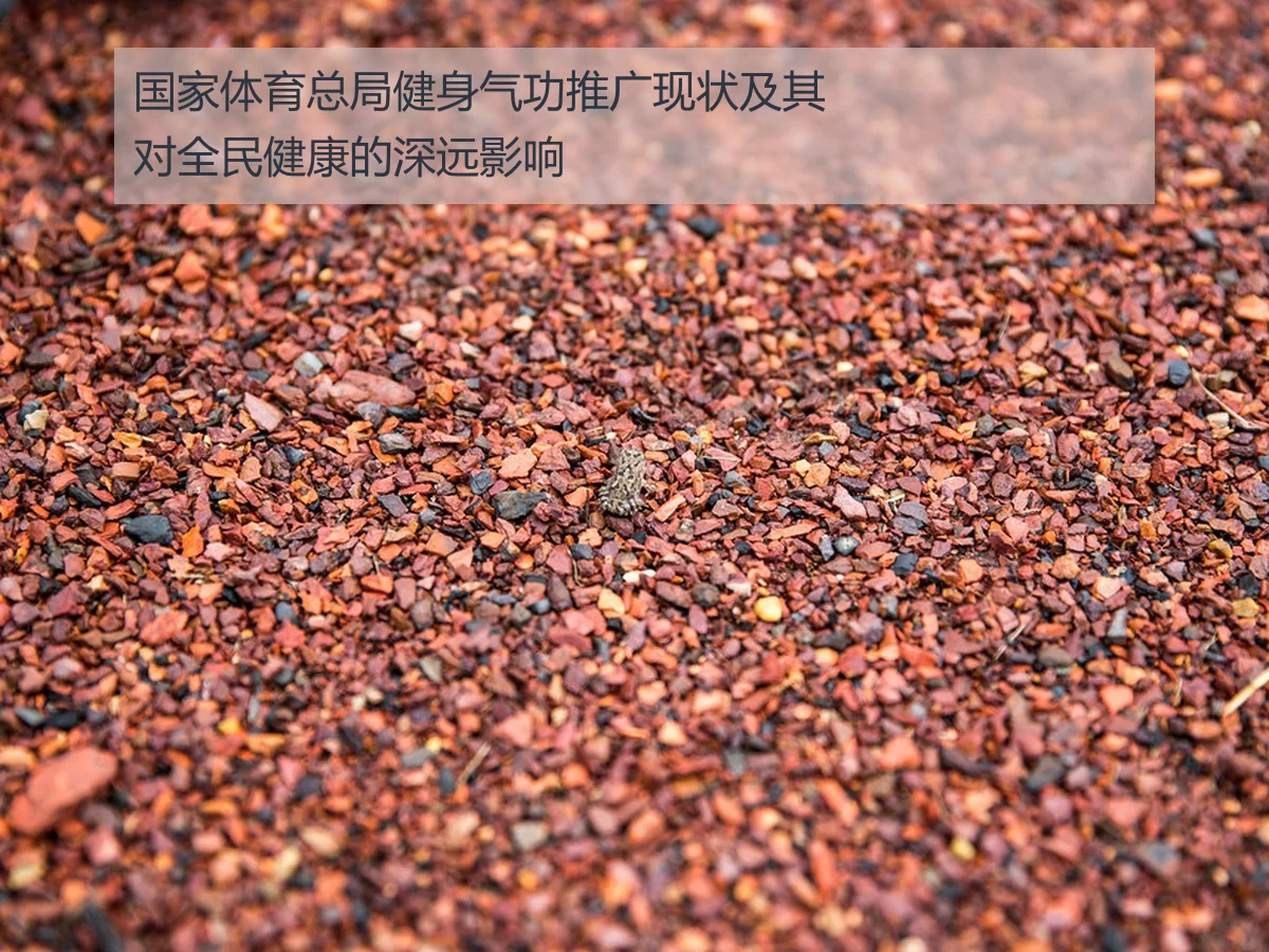 国家体育总局健身气功推广现状及其对全民健康的深远影响